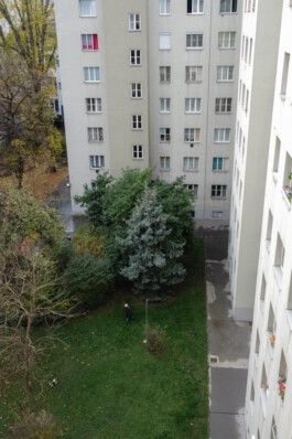 becoming a dipl.designer