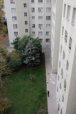 becoming a dipl.designer