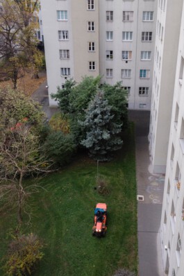 becoming a dipl.designer