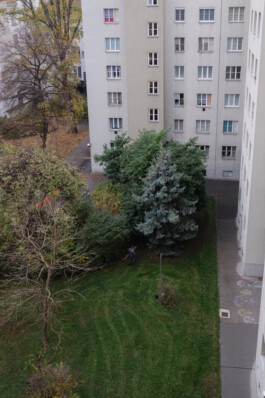 becoming a dipl.designer