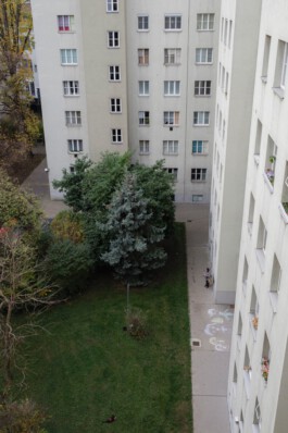 becoming a dipl.designer