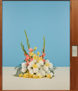 becoming a dipl.designer