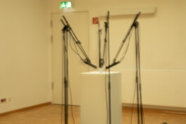 becoming a dipl.designer