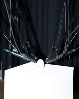 becoming a dipl.designer