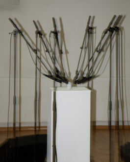 becoming a dipl.designer